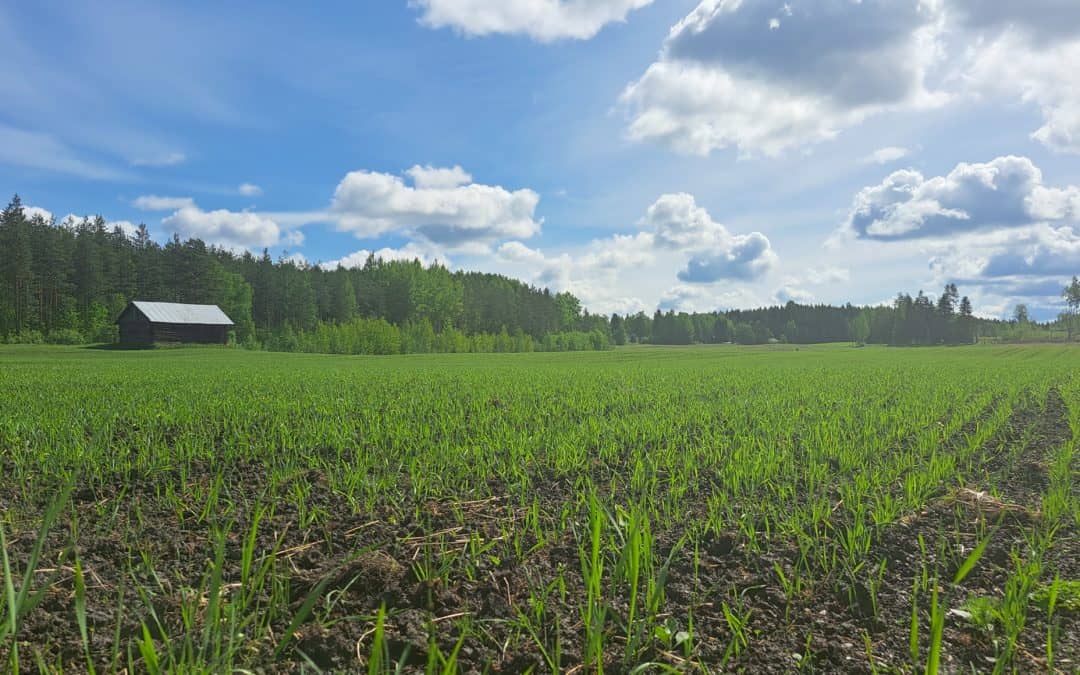 Eteläkarjalaisten biojätteitä ja kunnallisten jätevedenpuhdistamojen lietteitä hyödynnetään pian peltojen lannoitteissa