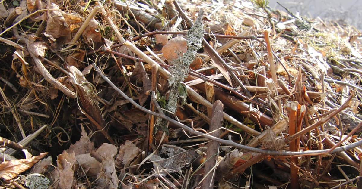 Lähikuva puutarhajätekasasta, missä näkyy kuivia lehtiä, oksia, risuja ja heinää.