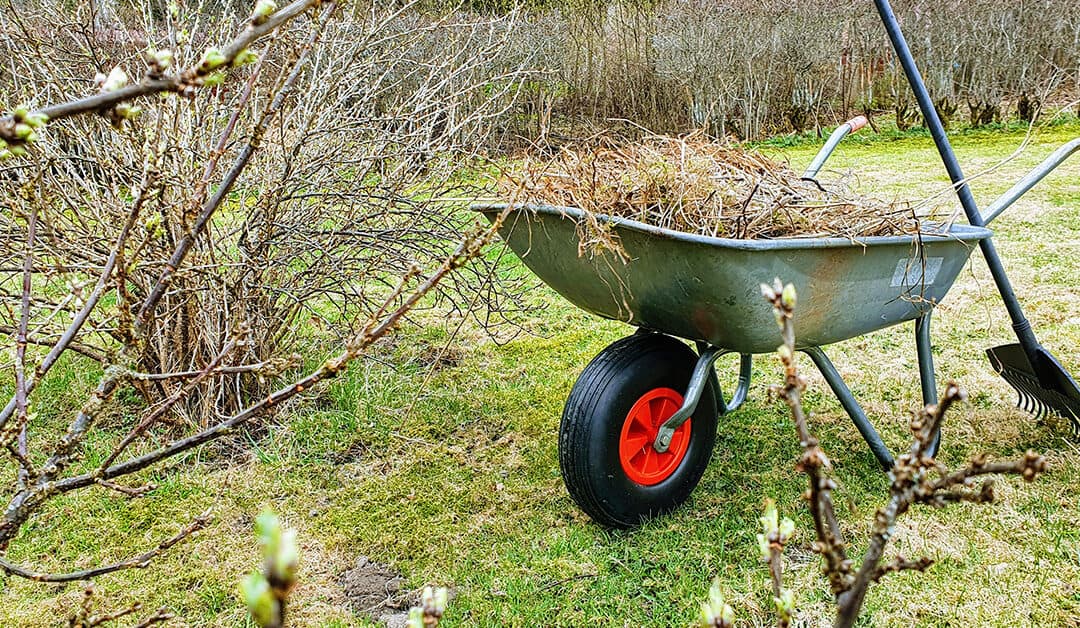 Puutarhajätelavat ilmestyvät Lappeenrannan katukuvaan